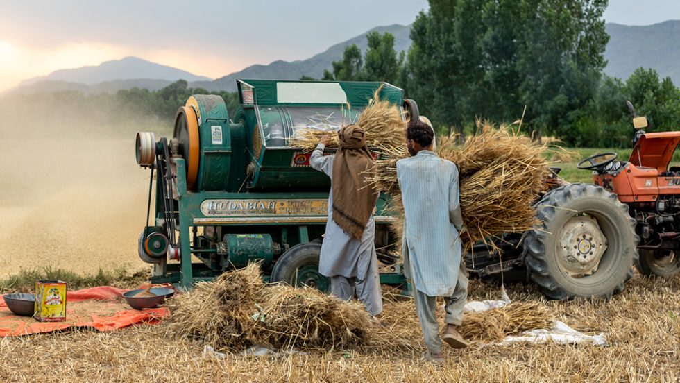pakistan farmers
